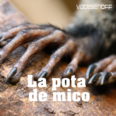 caratula_podcast_patademico